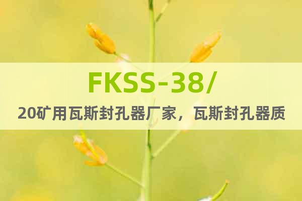 FKSS-38/20矿用瓦斯封孔器厂家，瓦斯封孔器质量保证