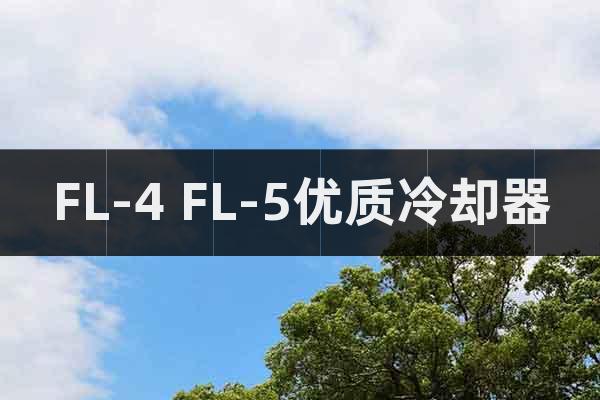 FL-4 FL-5優(yōu)質(zhì)冷卻器
