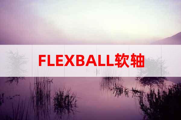 FLEXBALL軟軸
