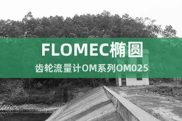 FLOMEC橢圓齒輪流量計OM系列OM025