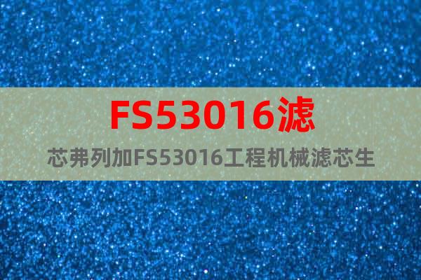 FS53016滤芯弗列加FS53016工程机械滤芯生产厂家