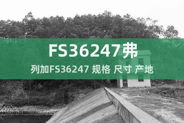 FS36247弗列加FS36247 规格 尺寸 产地