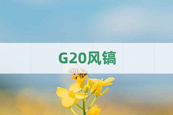 G20風鎬
