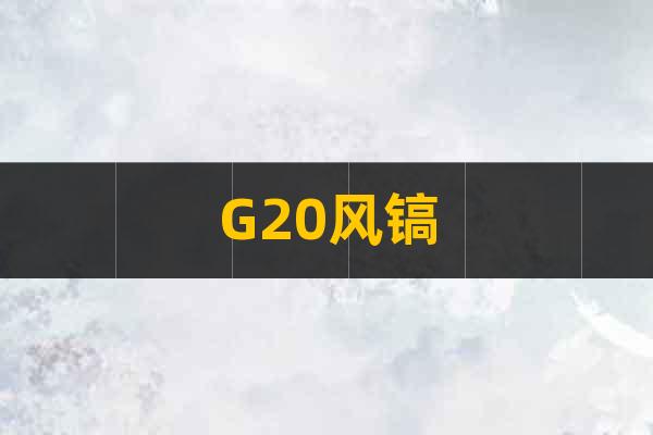 G20風鎬