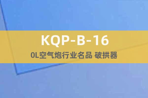 KQP-B-160L空氣炮行業(yè)名品 破拱器