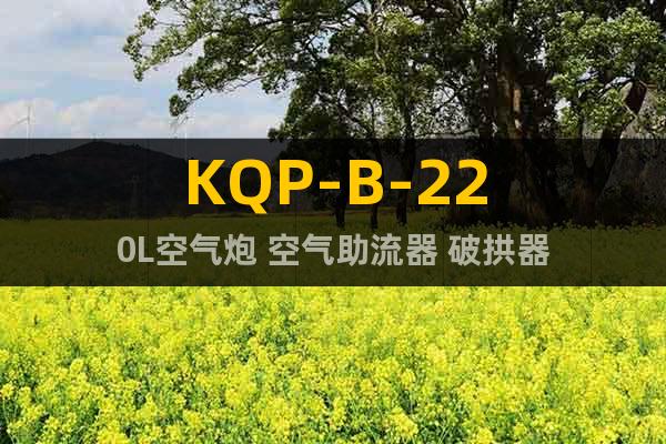 KQP-B-220L空气炮 空气助流器 破拱器