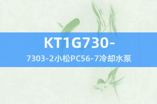 KT1G730-7303-2小松PC56-7冷却水泵—华龙牌