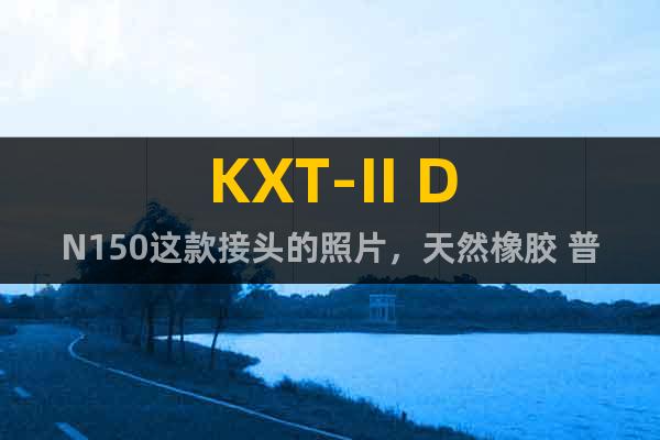 KXT-II DN150这款接头的照片，天然橡胶 普通过水的
