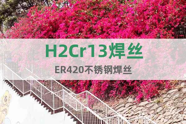H2Cr13焊絲ER420不銹鋼焊絲