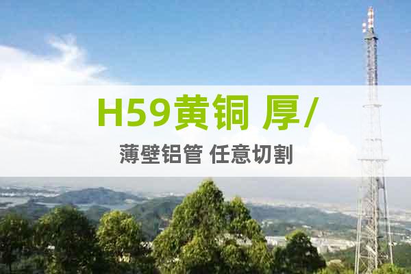 H59黃銅 厚/薄壁鋁管 任意切割