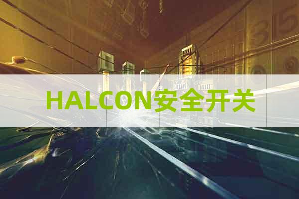 HALCON安全開關(guān)