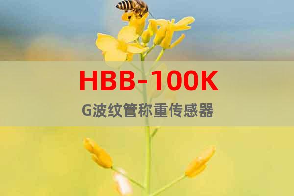 HBB-100KG波纹管称重传感器