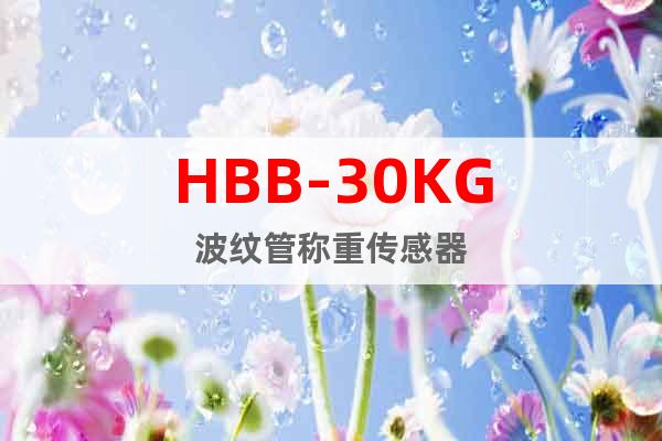 HBB-30KG波纹管称重传感器