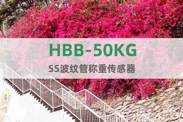 HBB-50KGSS波纹管称重传感器