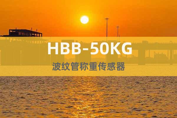 HBB-50KG波纹管称重传感器