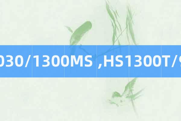 HC1030/1300MS ,HS1300T/950Y