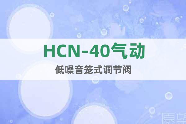 HCN-40氣動低噪音籠式調(diào)節(jié)閥