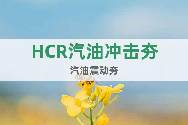 HCR汽油沖擊夯汽油震動(dòng)夯