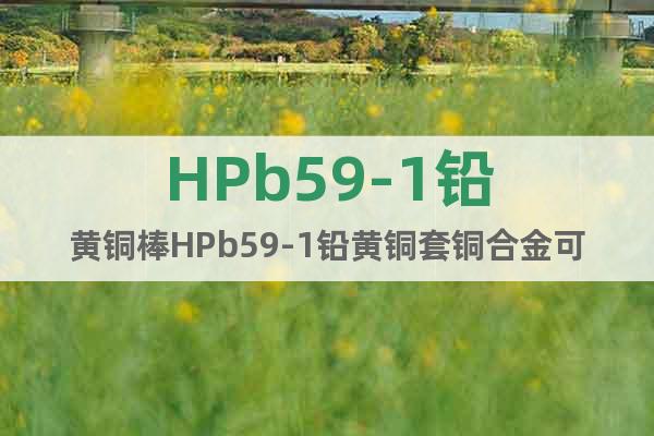 HPb59-1鉛黃銅棒HPb59-1鉛黃銅套銅合金可零切