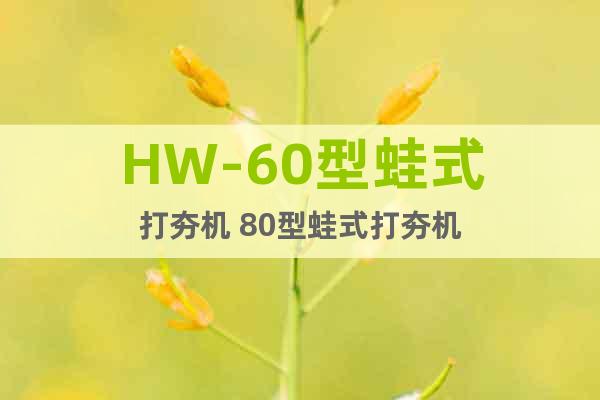 HW-60型蛙式打夯機(jī) 80型蛙式打夯機(jī)