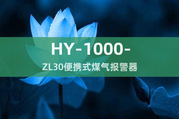 HY-1000-ZL30便携式煤气报警器
