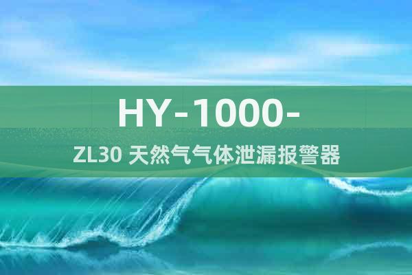 HY-1000-ZL30 天然气气体泄漏报警器