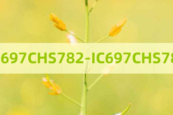 IC697CHS782-IC697CHS782