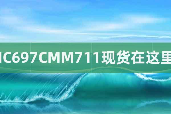 IC697CMM711現(xiàn)貨在這里