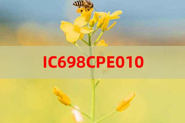 IC698CPE010