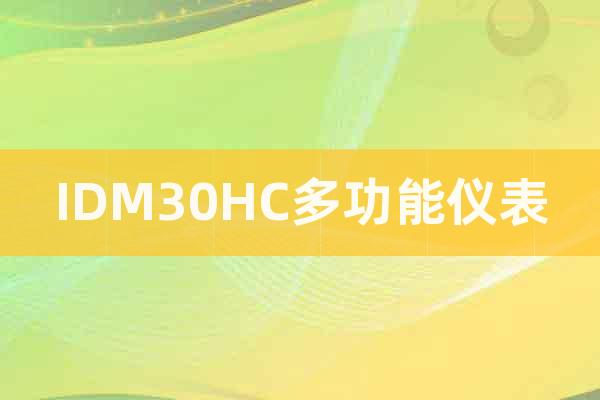 IDM30HC多功能儀表
