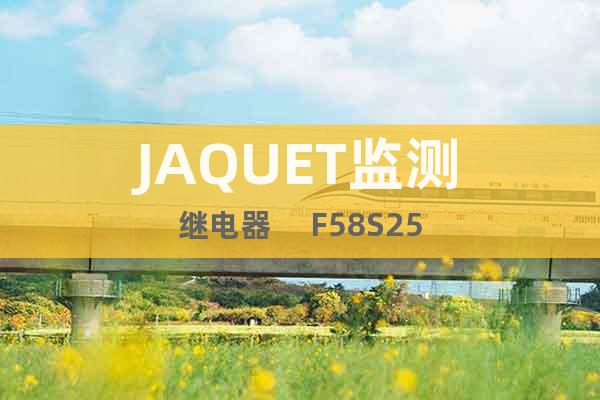 JAQUET监测继电器     F58S25