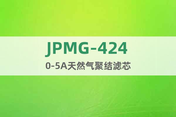 JPMG-4240-5A天然氣聚結(jié)濾芯