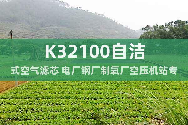 K32100自洁式空气滤芯 电厂钢厂制氧厂空压机站专用