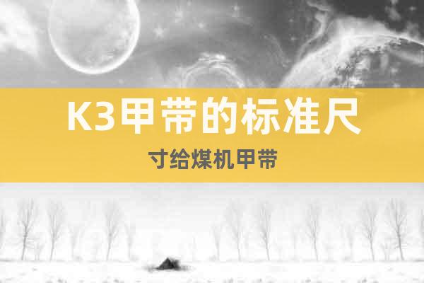 K3甲帶的標(biāo)準(zhǔn)尺寸給煤機(jī)甲帶
