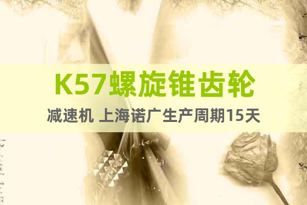 K57螺旋錐齒輪減速機 上海諾廣生產(chǎn)周期15天