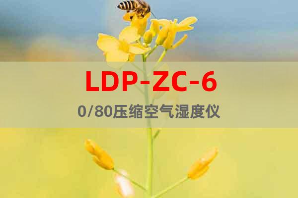 LDP-ZC-60/80压缩空气湿度仪