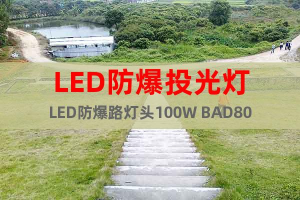 LED防爆投光灯LED防爆路灯头100W BAD808-L2