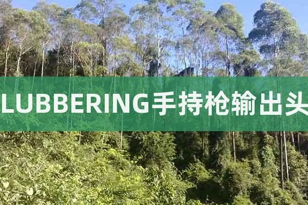 LUBBERING手持槍輸出頭