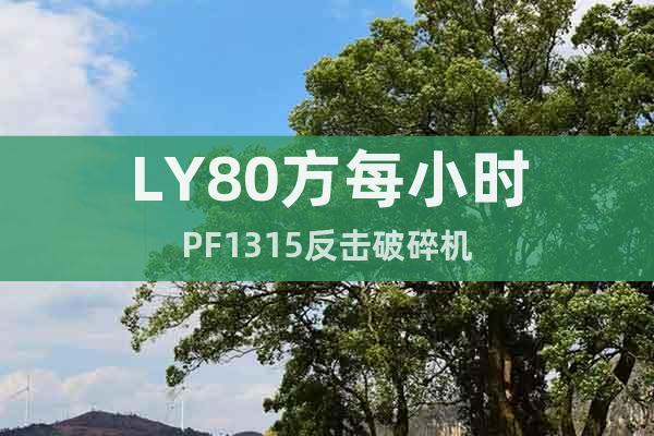 LY80方每小時PF1315反擊破碎機(jī)