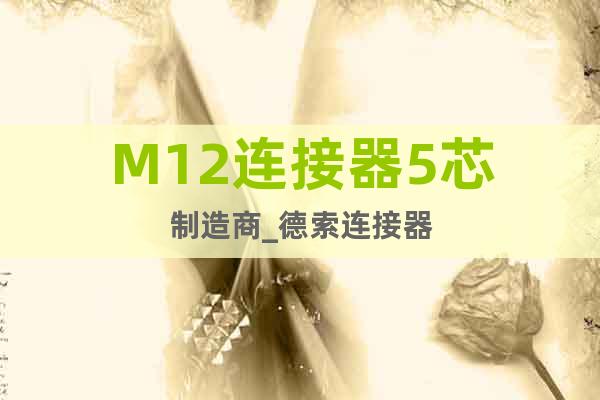 M12連接器5芯制造商_德索連接器