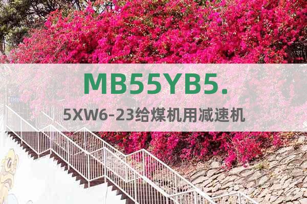 MB55YB5.5XW6-23给煤机用减速机