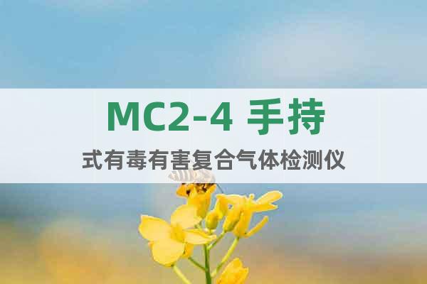MC2-4 手持式有毒有害复合气体检测仪