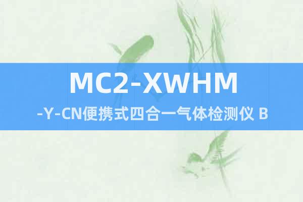 MC2-XWHM-Y-CN便携式四合一气体检测仪 BW