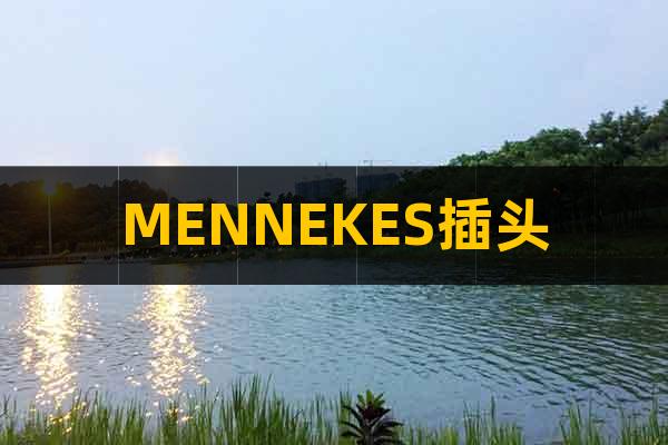 MENNEKES插頭