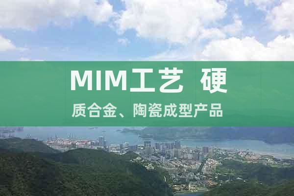 MIM工藝  硬質(zhì)合金、陶瓷成型產(chǎn)品