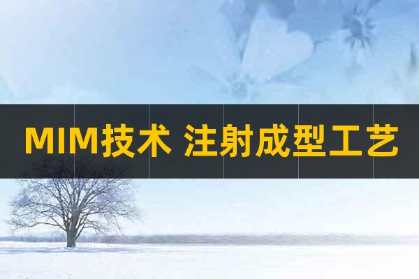 MIM技術(shù) 注射成型工藝
