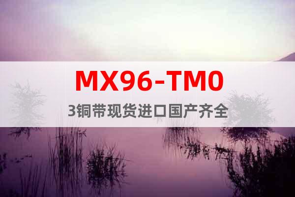 MX96-TM03铜带现货进口国产齐全