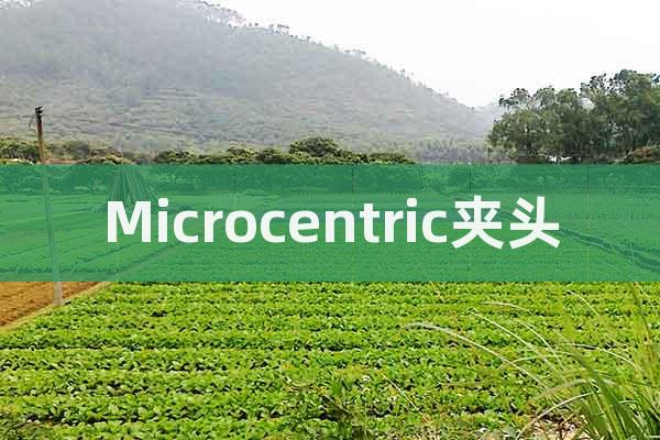 Microcentric夾頭