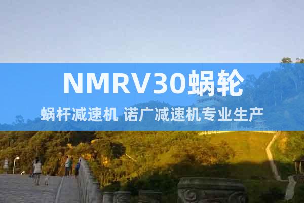 NMRV30蝸輪蝸桿減速機(jī) 諾廣減速機(jī)專業(yè)生產(chǎn)