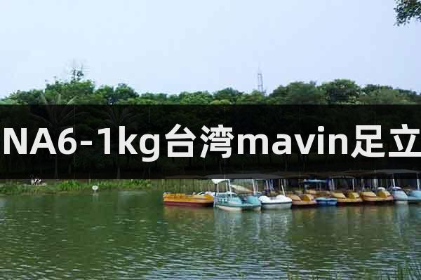 NA6-1kg台湾mavin足立